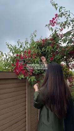 Hot,,Call Girls In ACE Parkway 9899001462 Noida Sec 150 Escort 